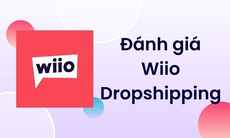đánh giá wiio dropshipping