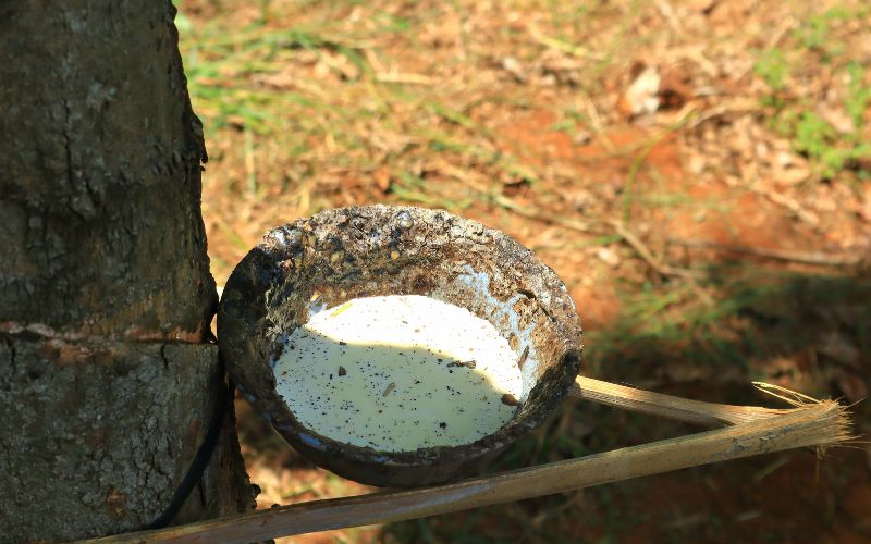 Vietnam rubber sourcing