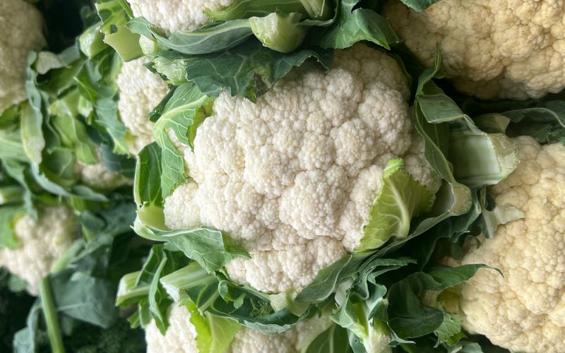 Vietnam vegetables sourcicng