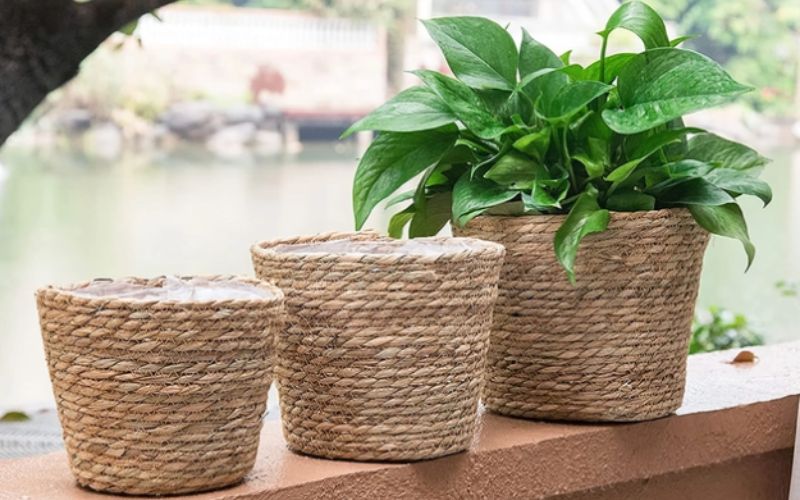 Vietnam Water Hyacinth Planter