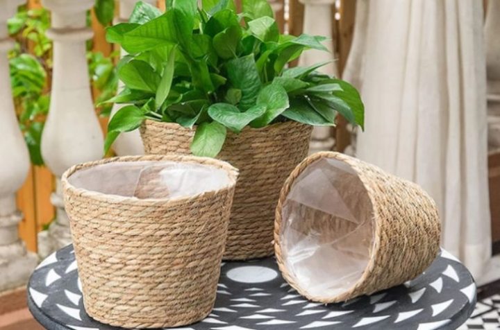 Vietnam Water Hyacinth Planter
