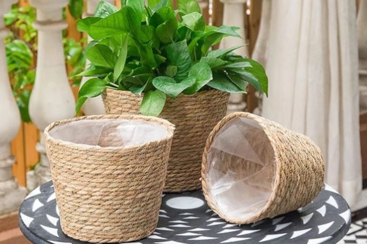 Vietnam Water Hyacinth Planter