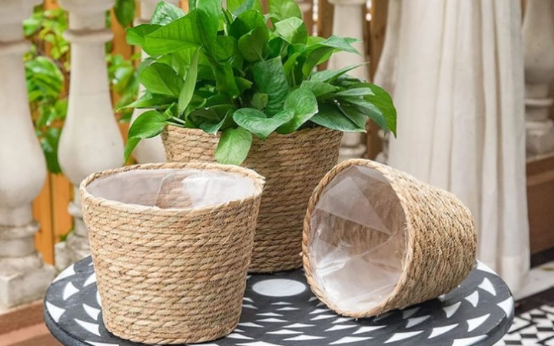 vietnam-water-hyacinth-planter.jpg