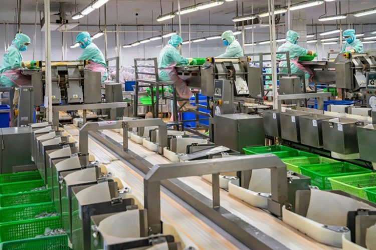 What are the disadvantages of manufacturing in Vietnam?