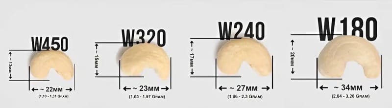 how to import cashews from vietnam