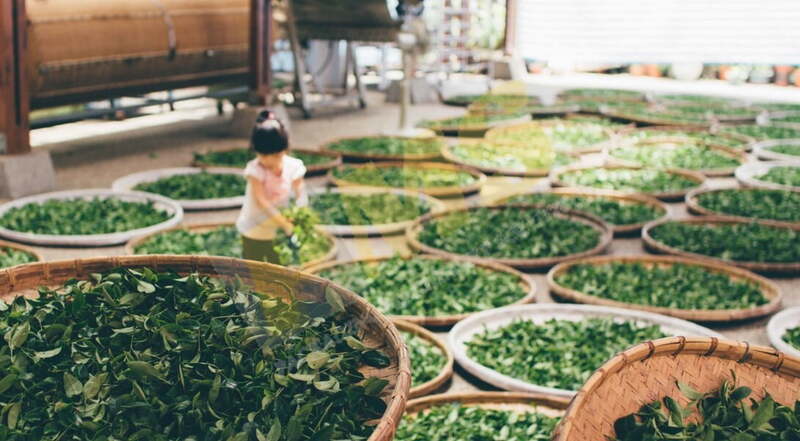 how to import tea from vietnam