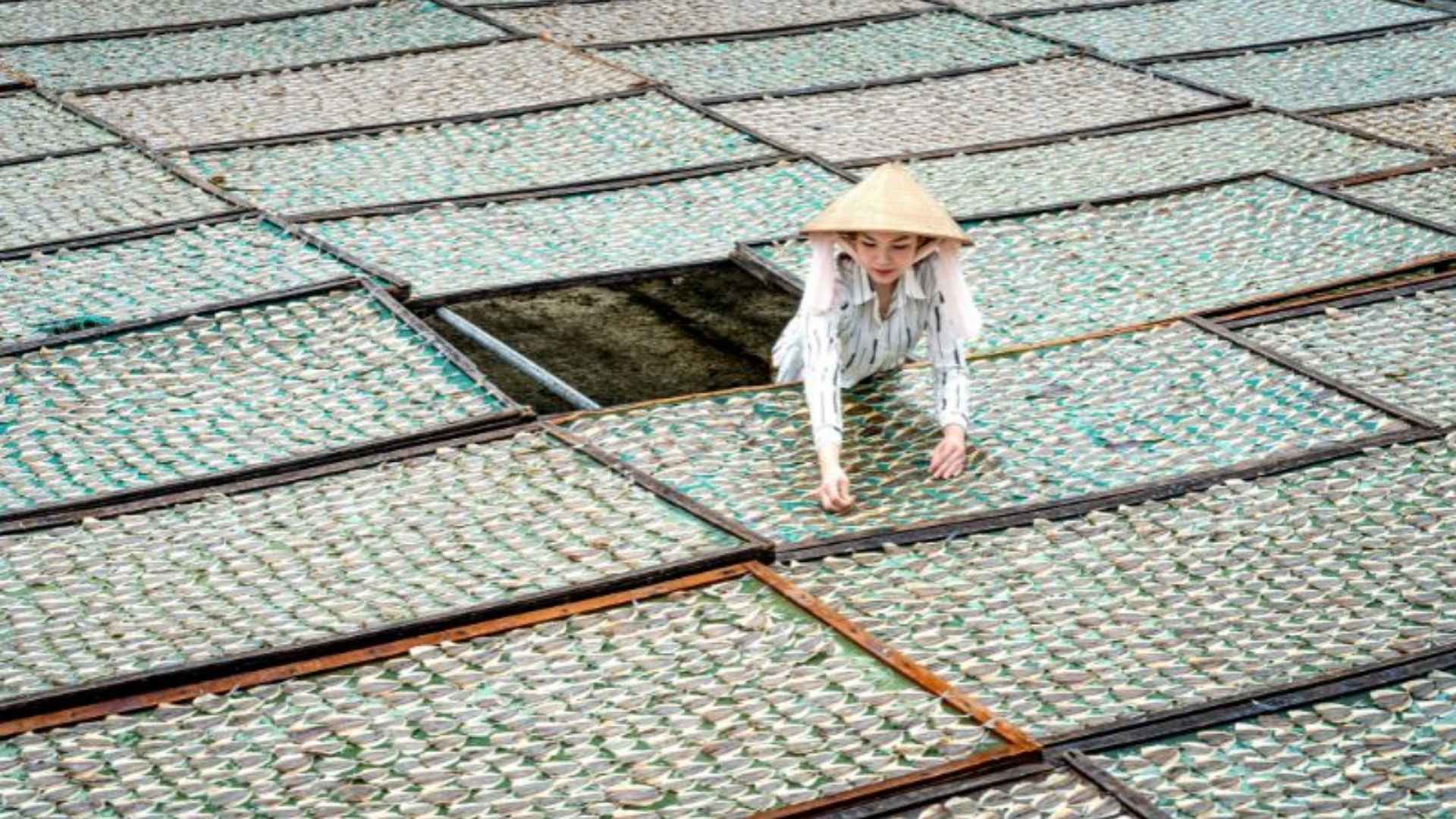 import tariff from vietnam to the us