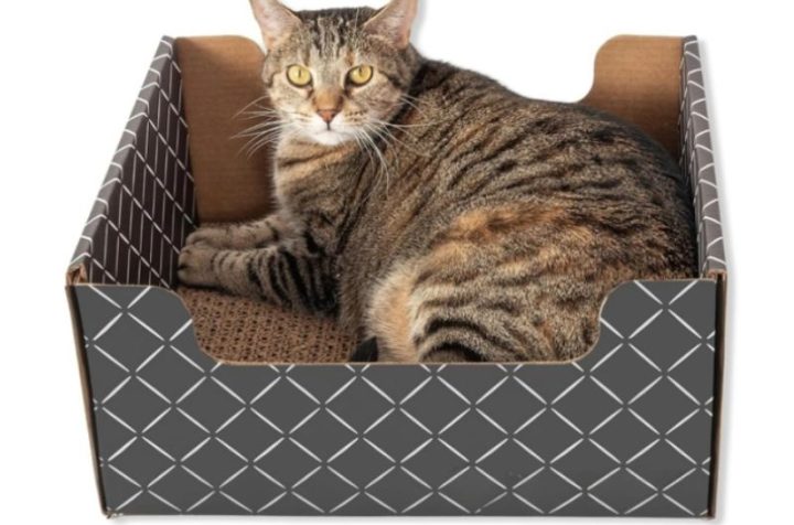 Cardboard Cat Scratcher Box