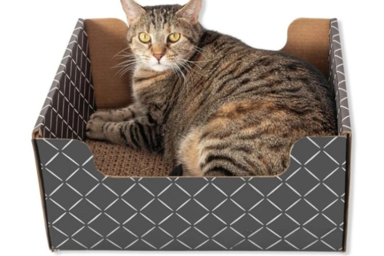 Cardboard Cat Scratcher Box
