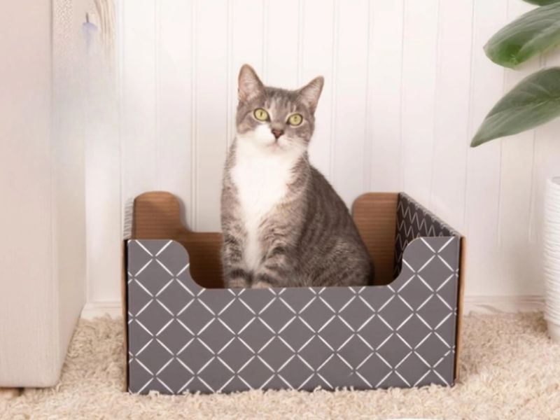 Cardboard Cat Scratcher Box
