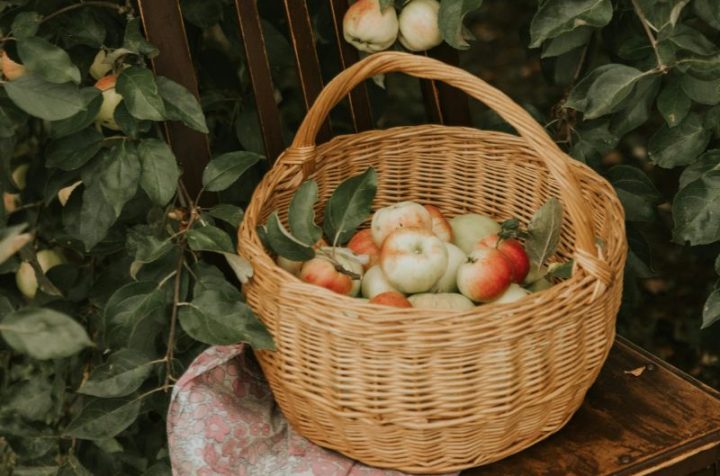 Wooden Fruit Baskets