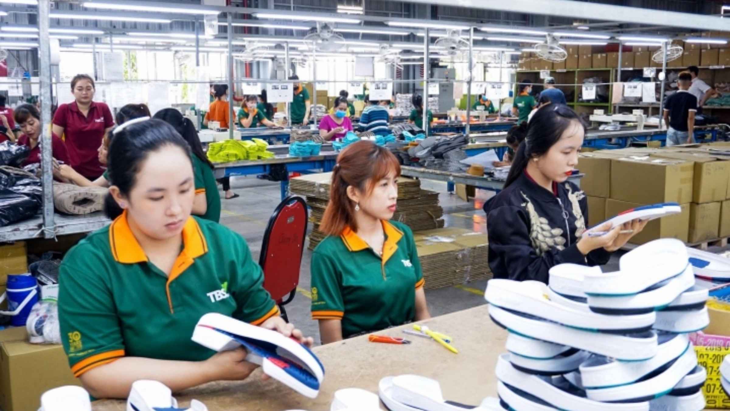 import canvas shoes from vietnam