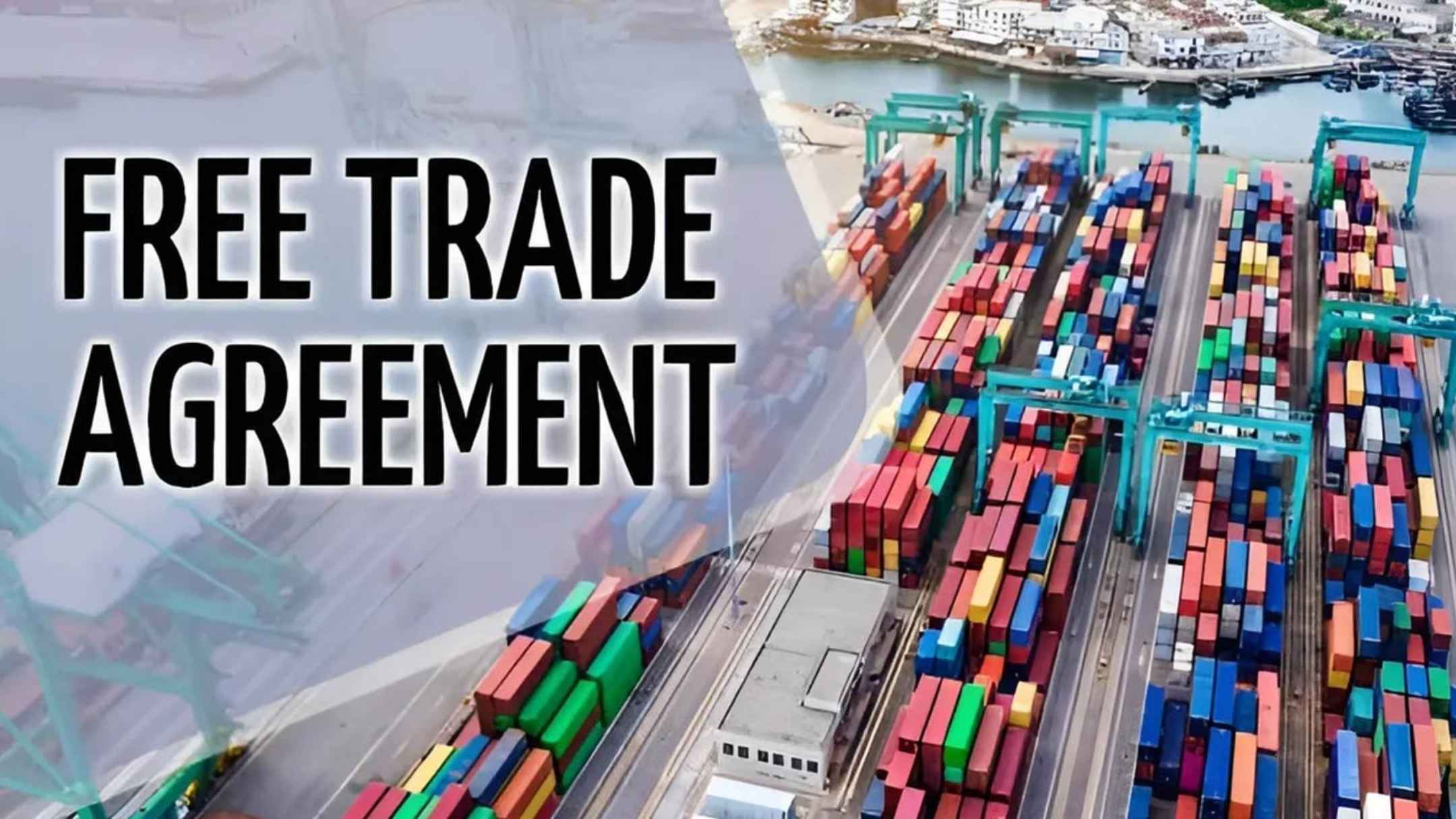 import leather shoes from vietnm