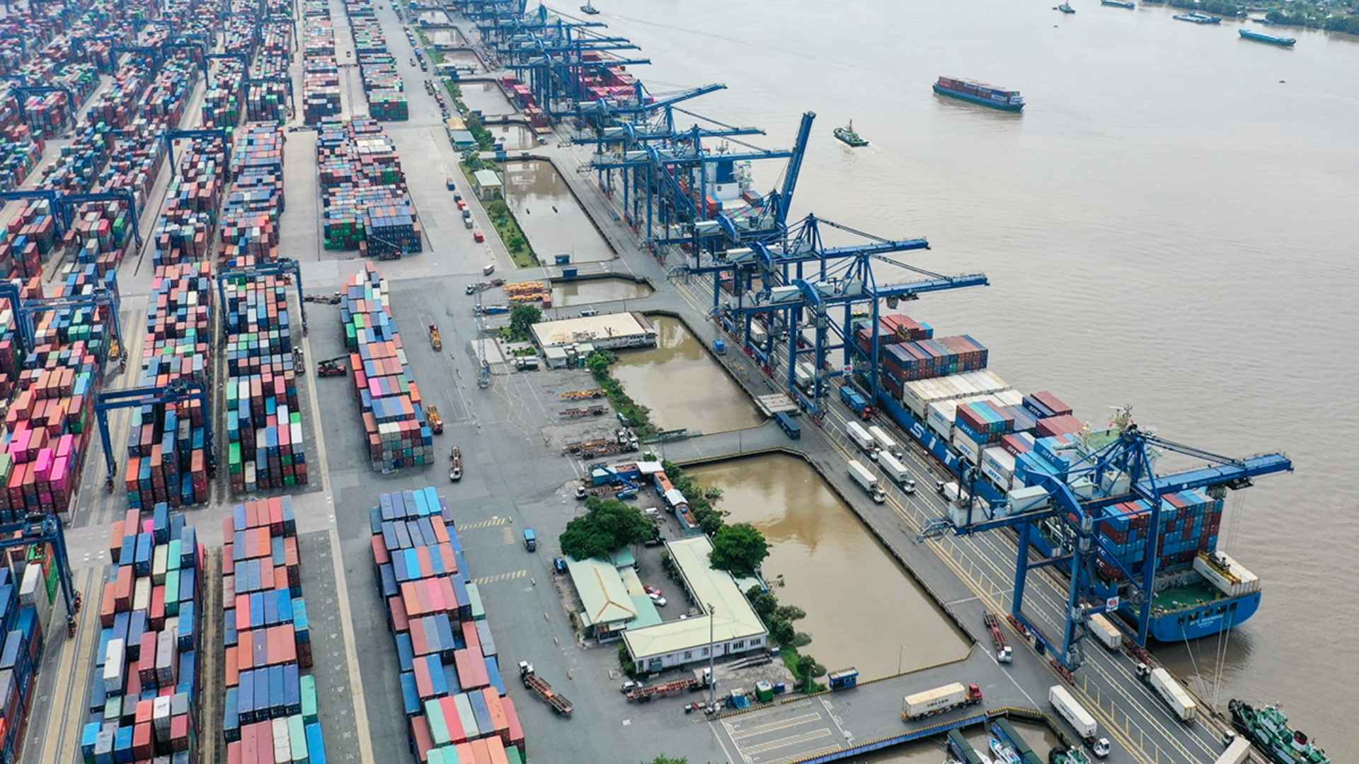 import loafers from vietnam