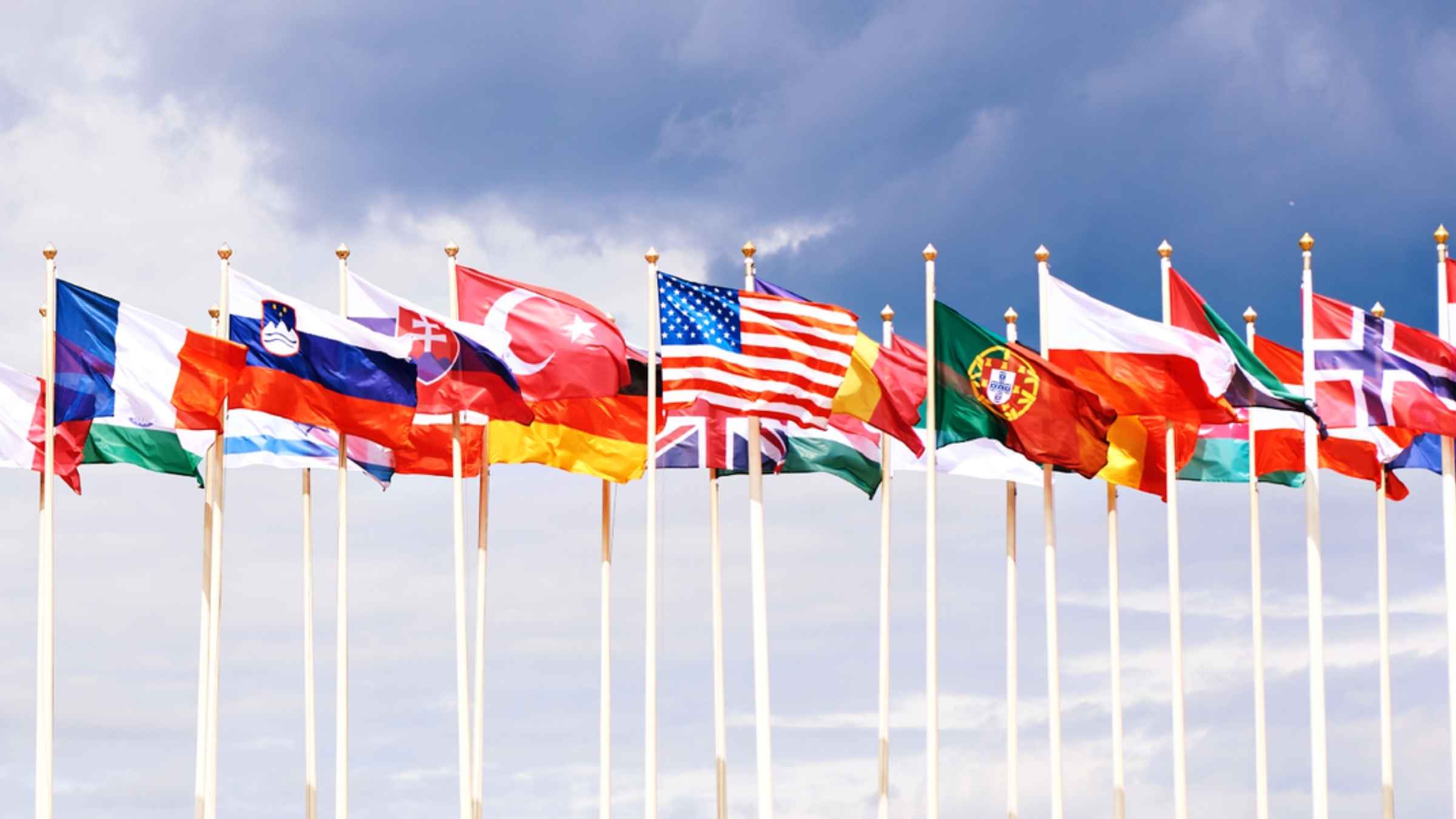 import mesh bags from vietnam