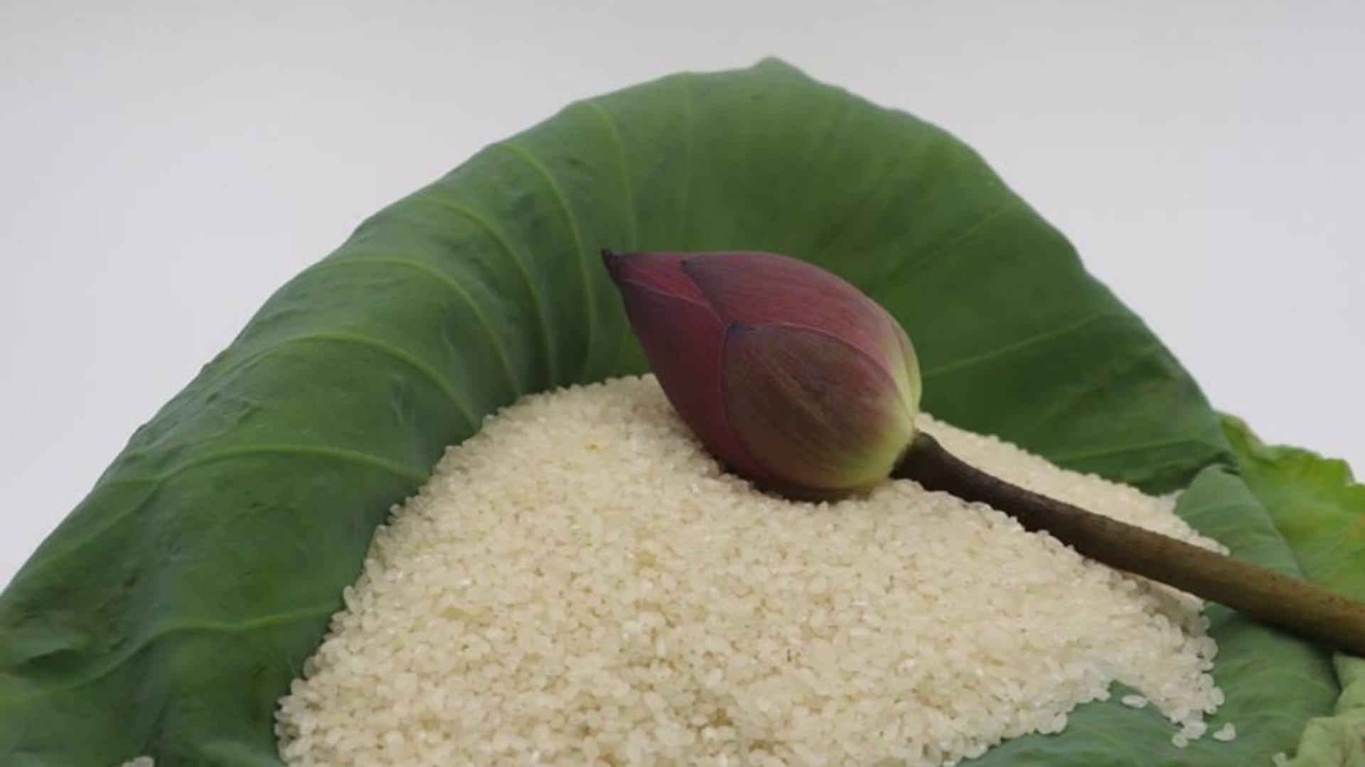 import vietnam japonica rice