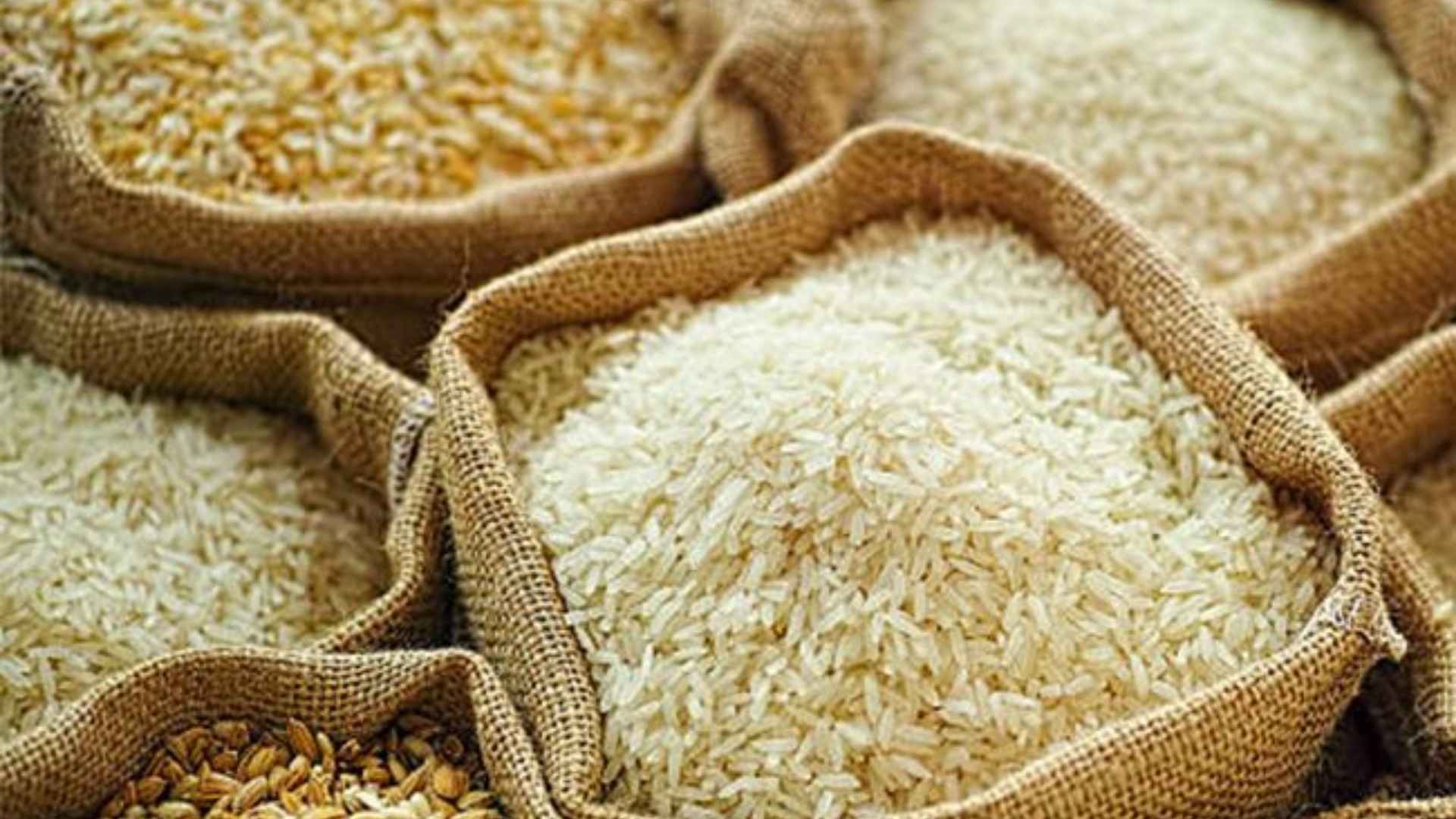 import vietnam janponica rice