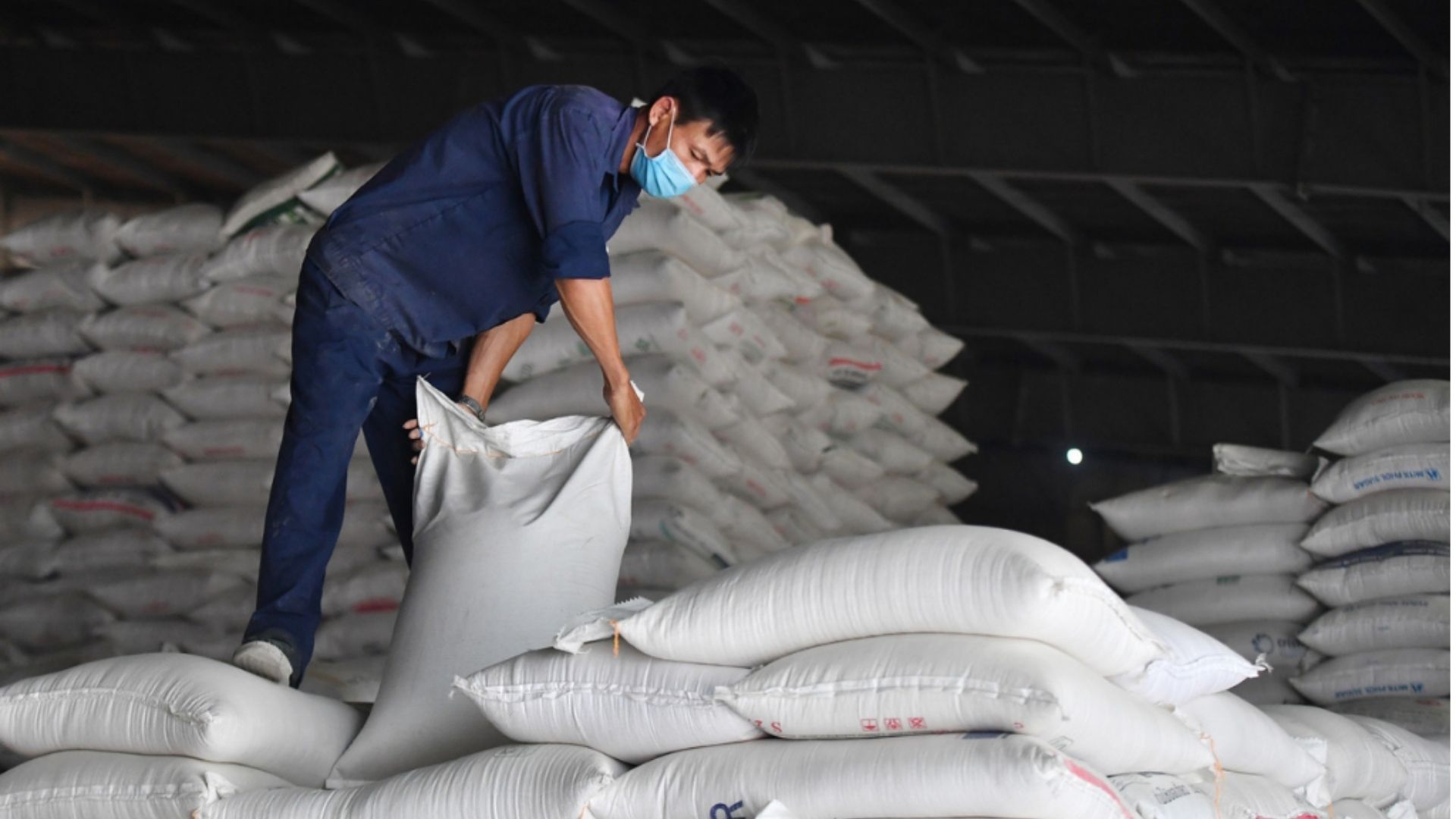 import vietnam japonica rice