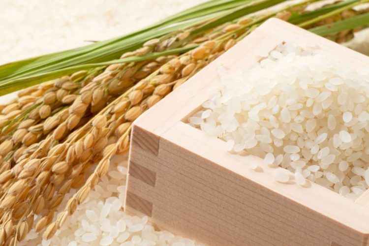 import vietnam japonica rice