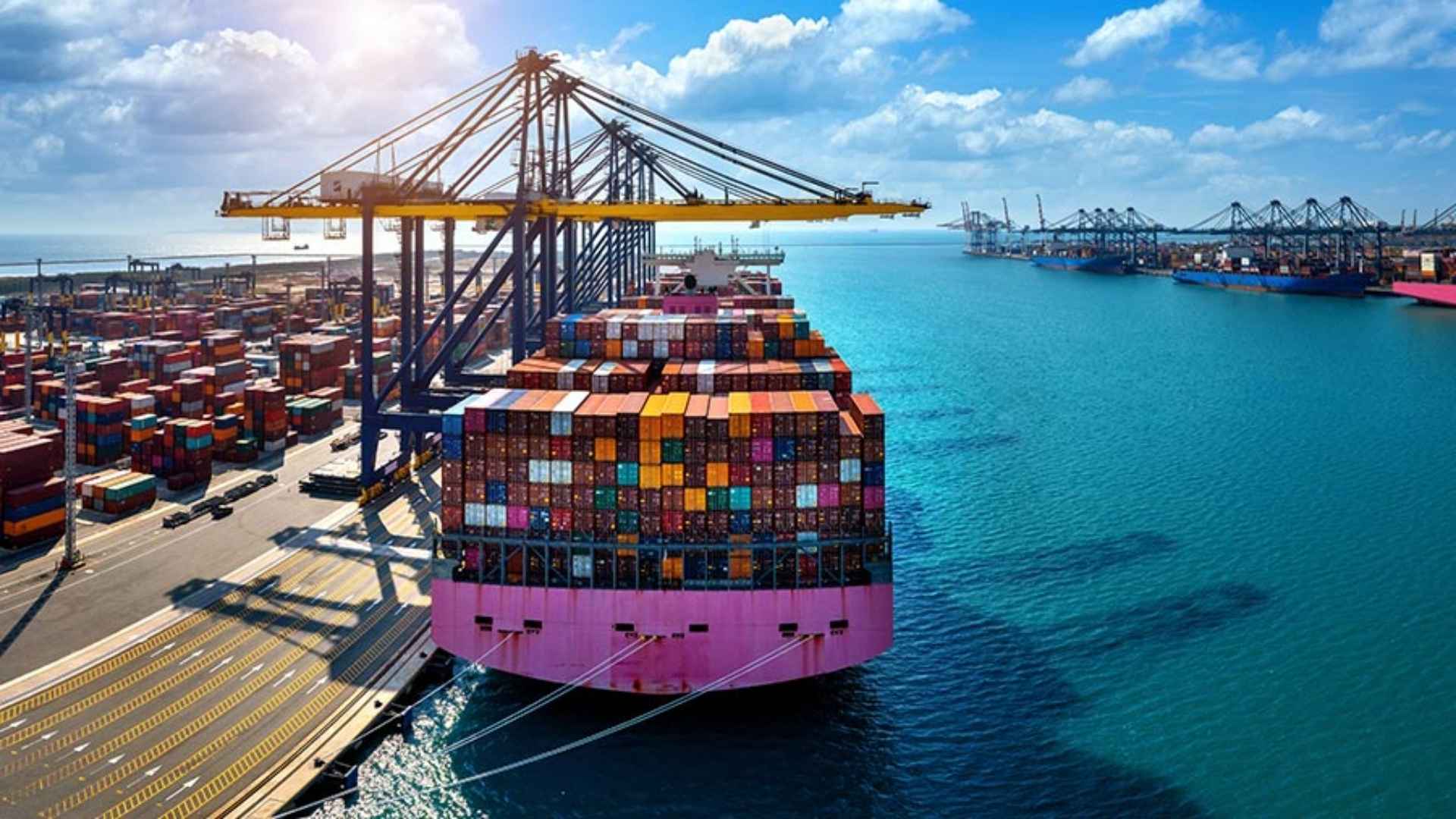 import cinnamon from vietnam