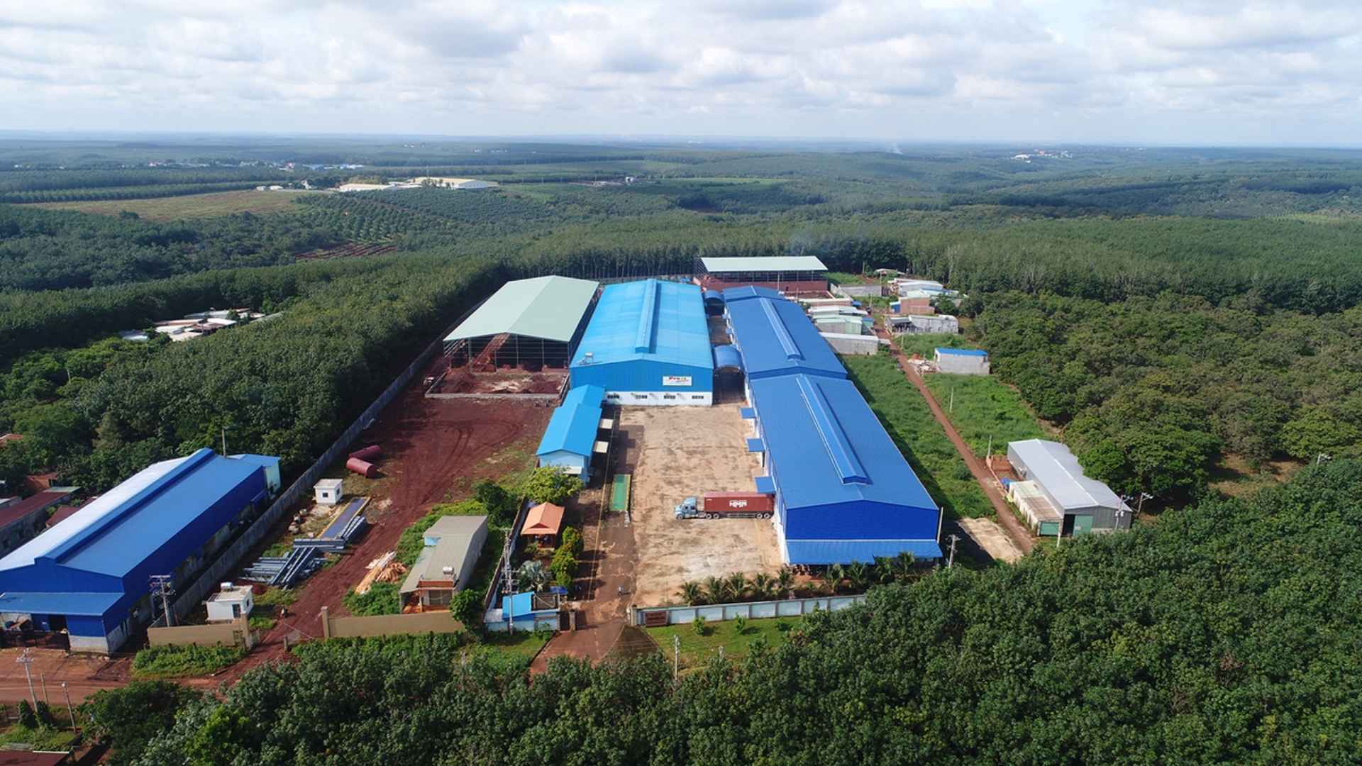 import cinnamon from vietnam