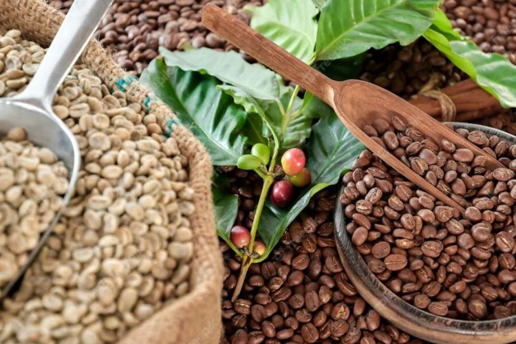 import coffee from vietnam