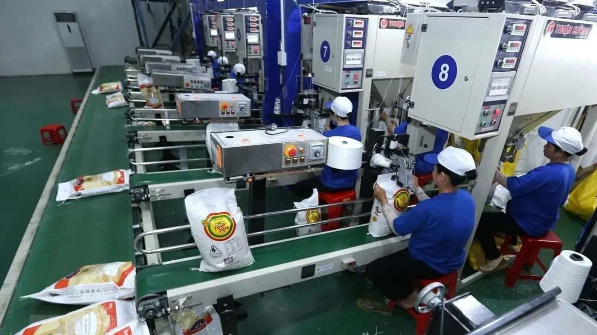 import rice from vietnam