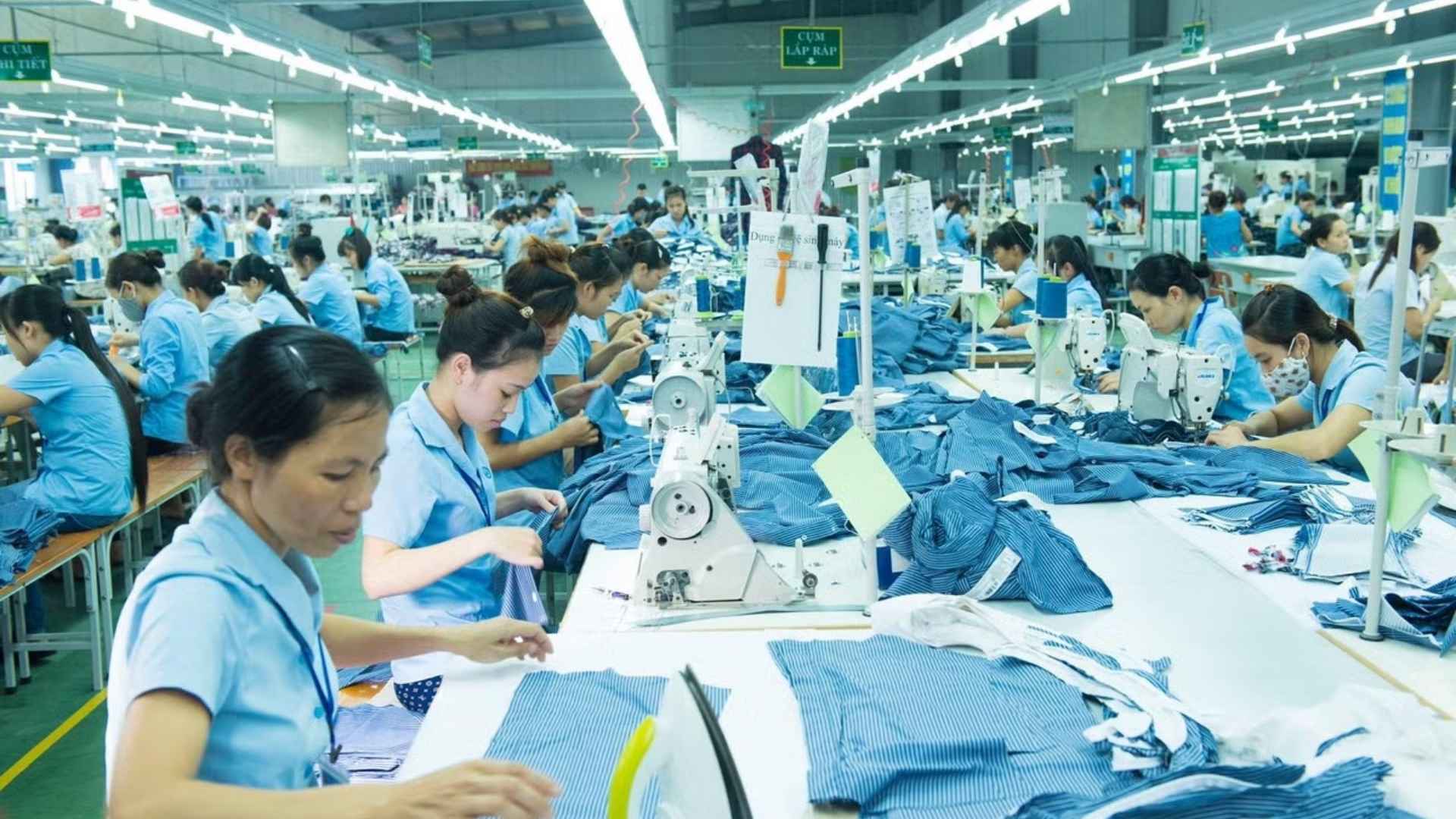 import swimwear from vietnam