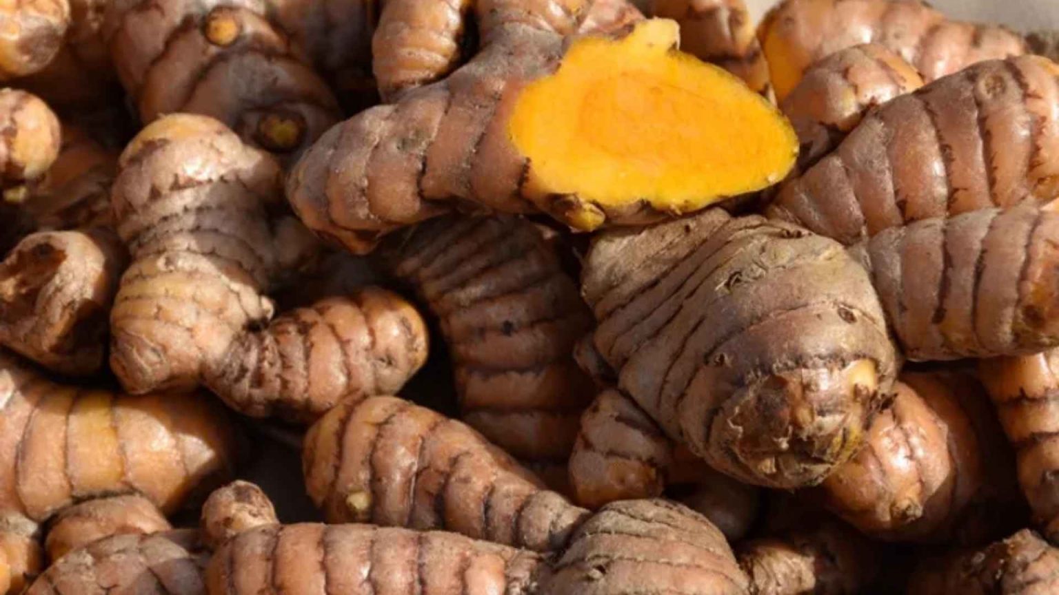 Import Turmeric from Vietnam? Quality, Cost & Sourcing Guide