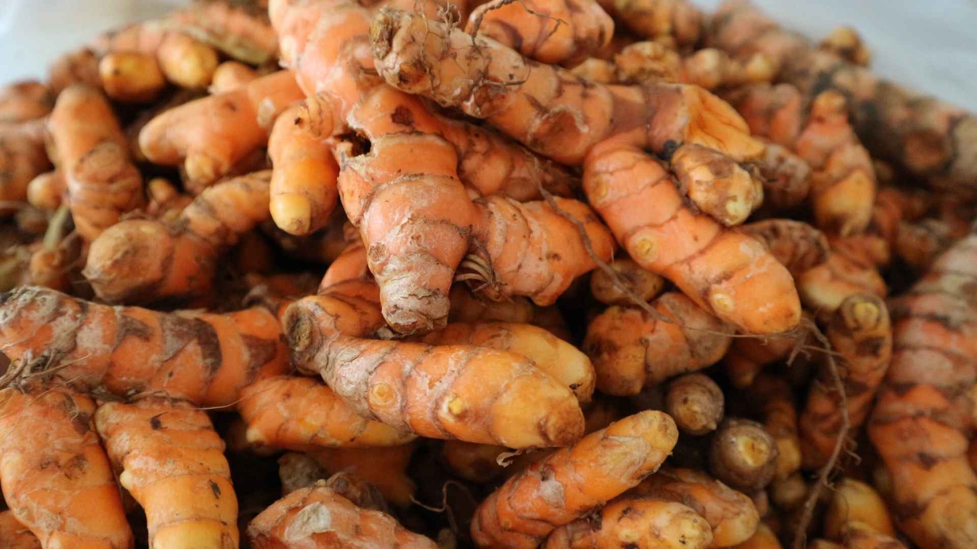 vietnam turmeric