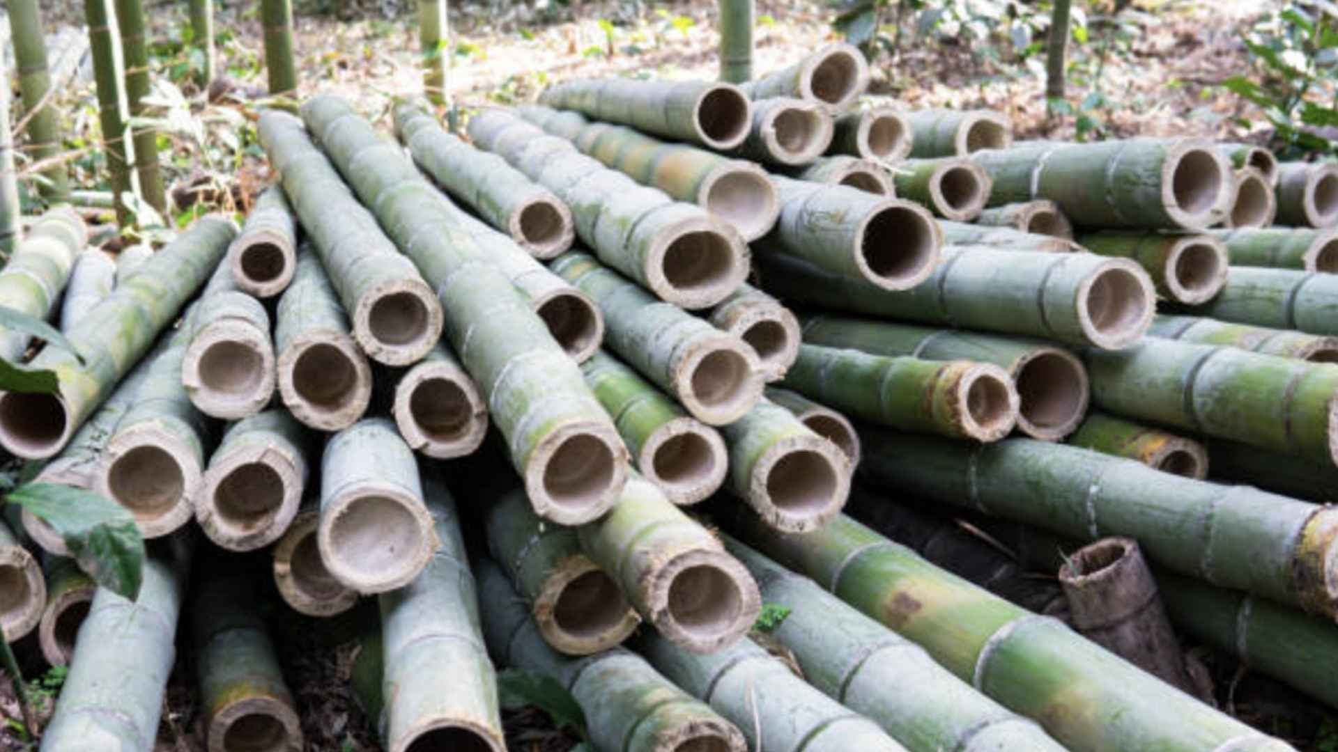 vietnam vs china manufacruring costs