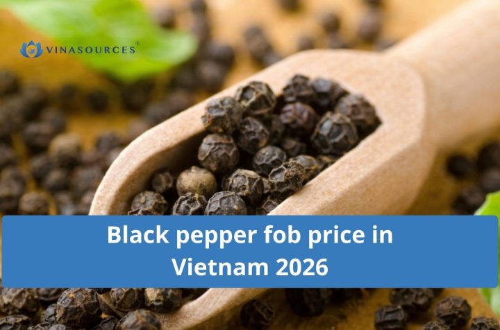 black pepper fob price in vietnam 2026