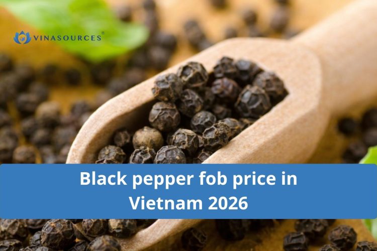 black pepper fob price in vietnam 2026