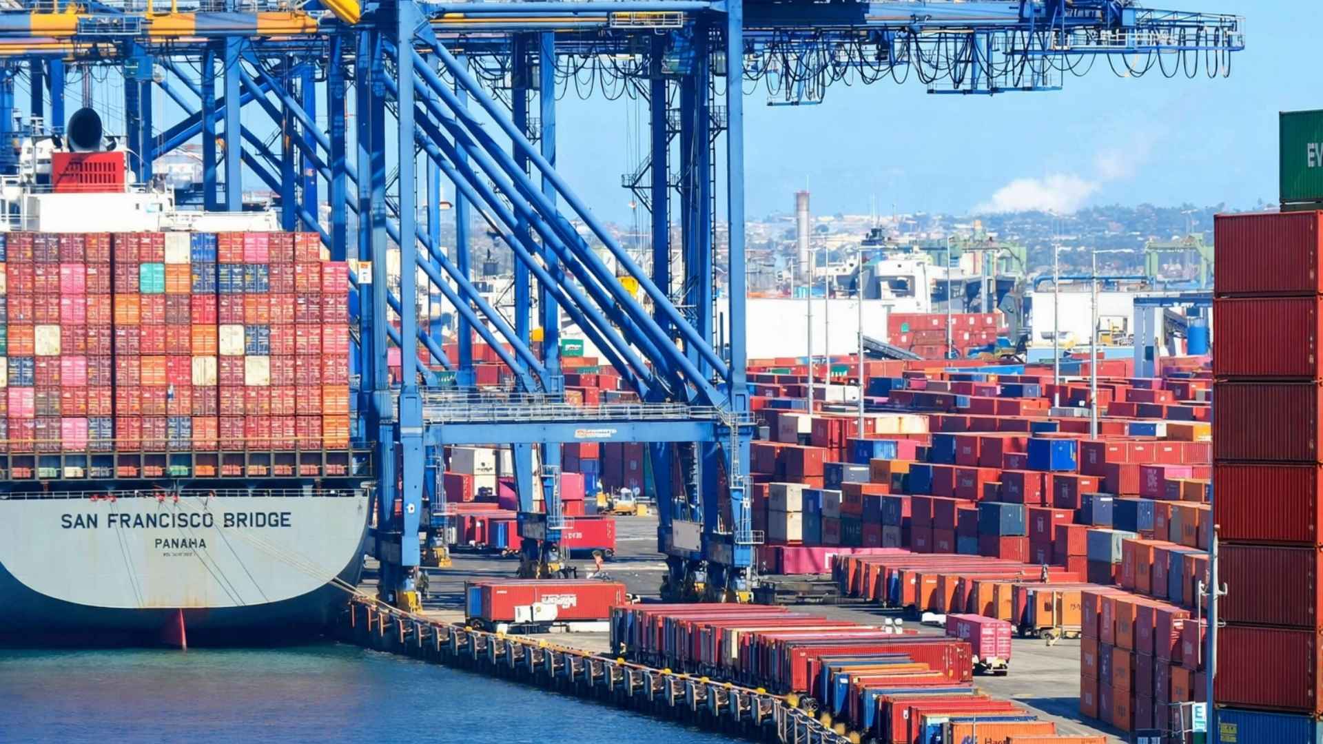 black pepper fob price in vietnam 2026