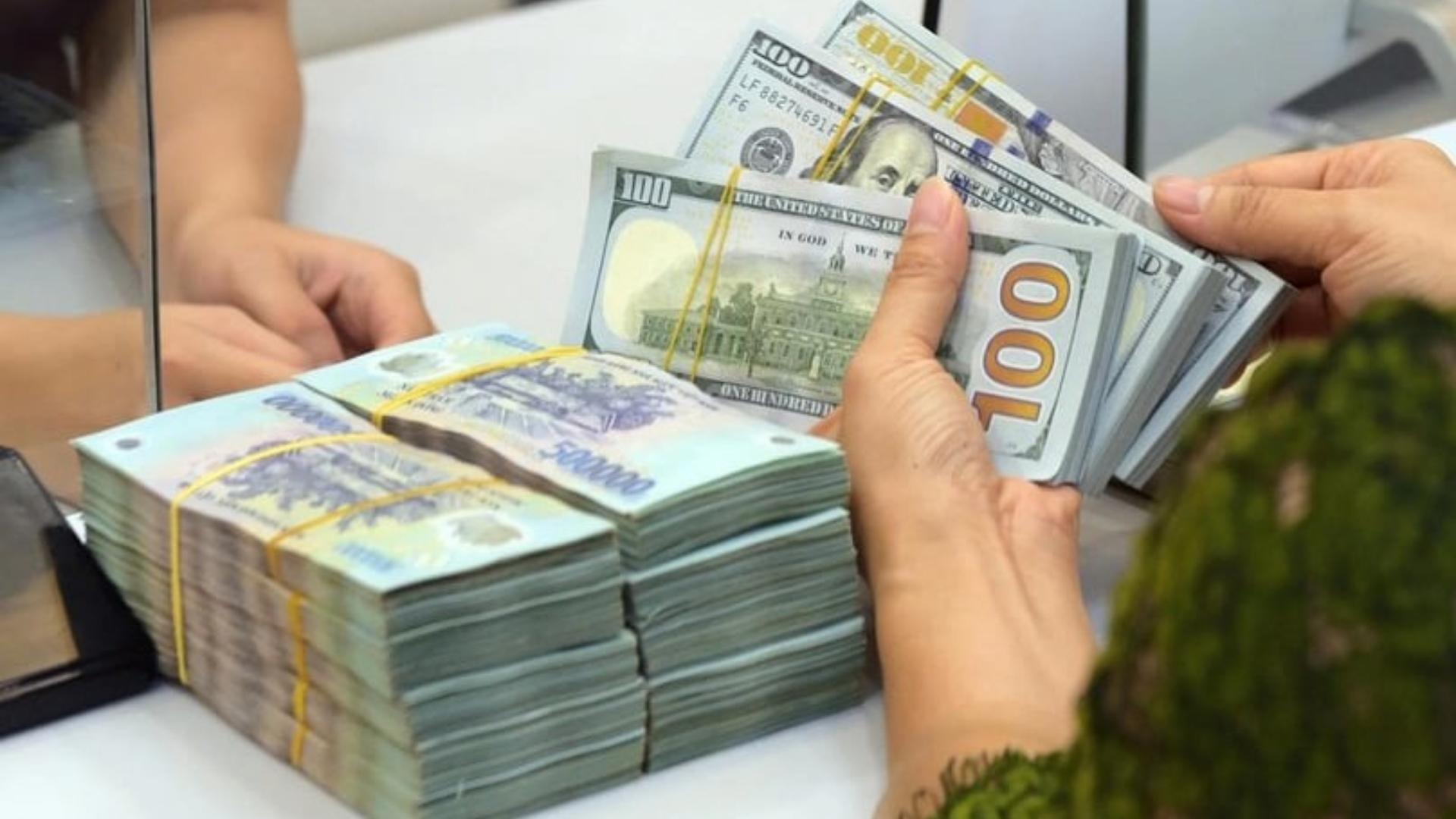 black pepper fob price in vietnam 2026