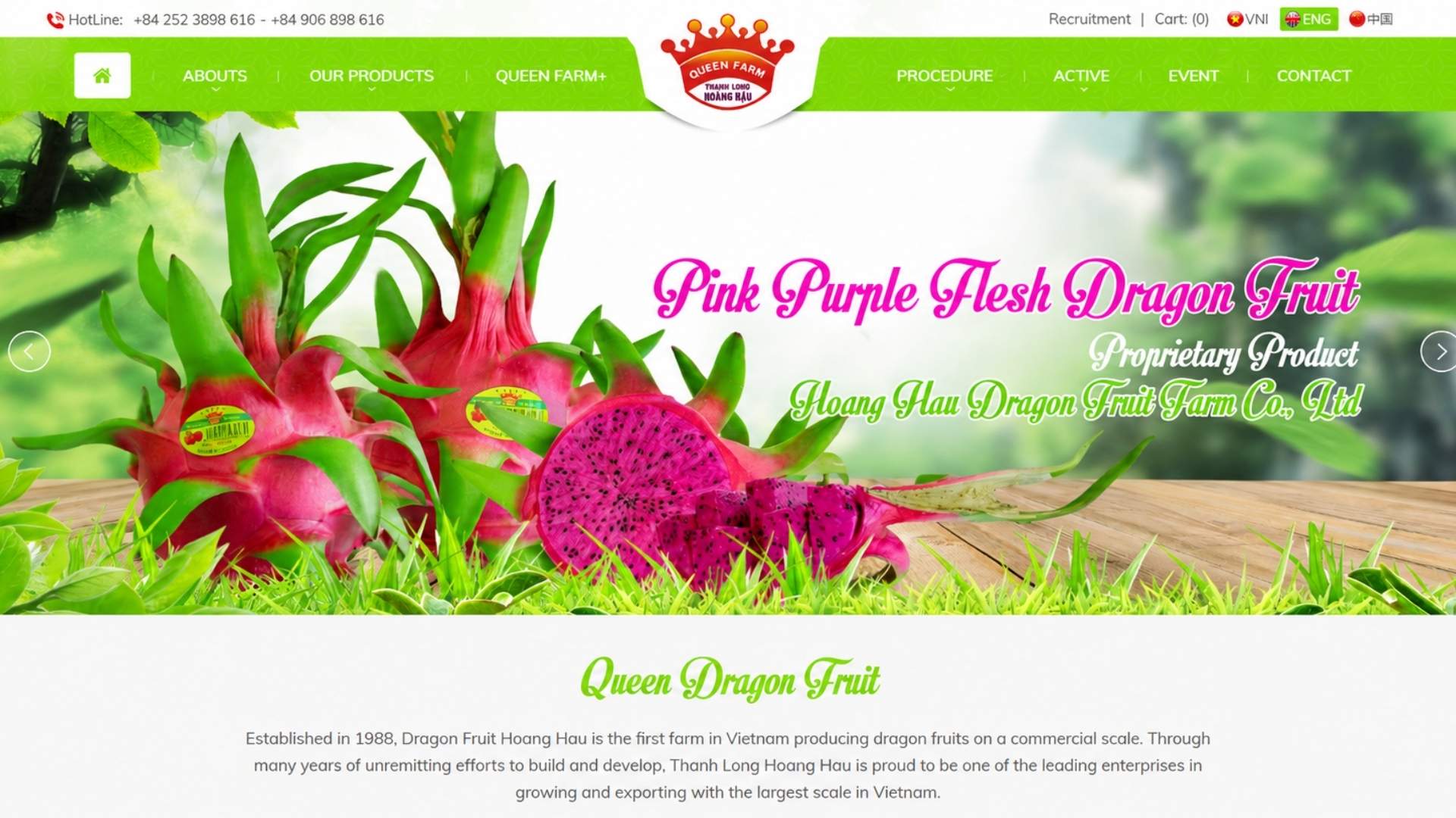 vietnam dragon fruit exporter
