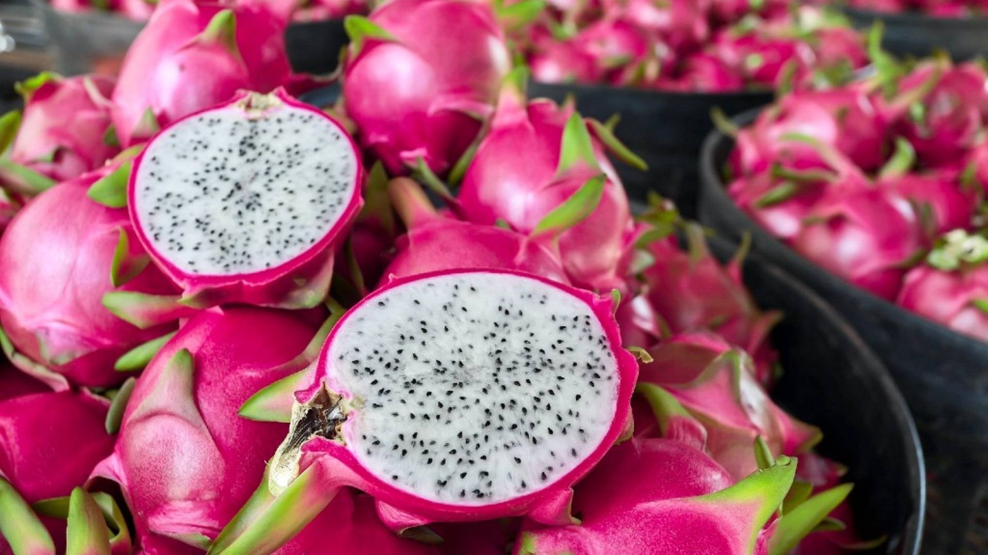 vietnam dragon fruit