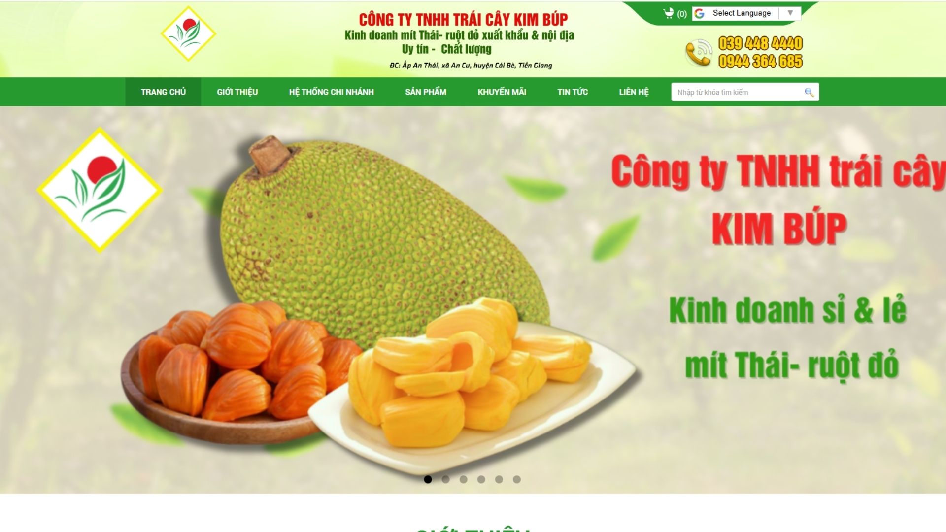 vietnamese jackfruit exporter
