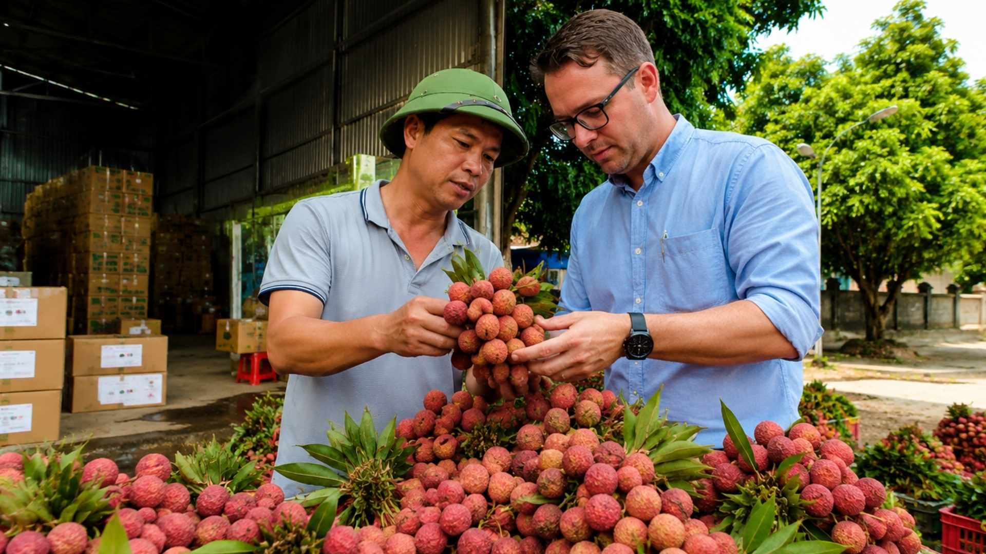 find vietnamese lychee supplier