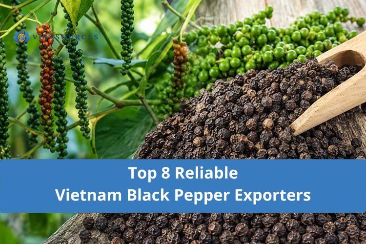 vietnam black pepper exporters