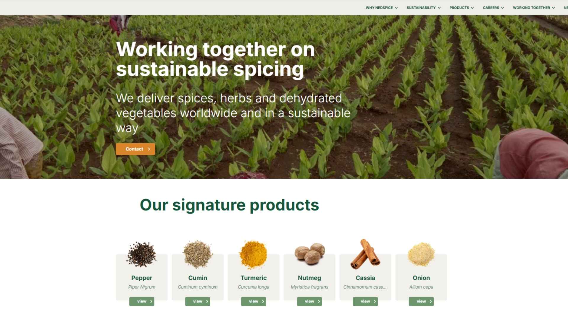 vietnam black pepper exporters