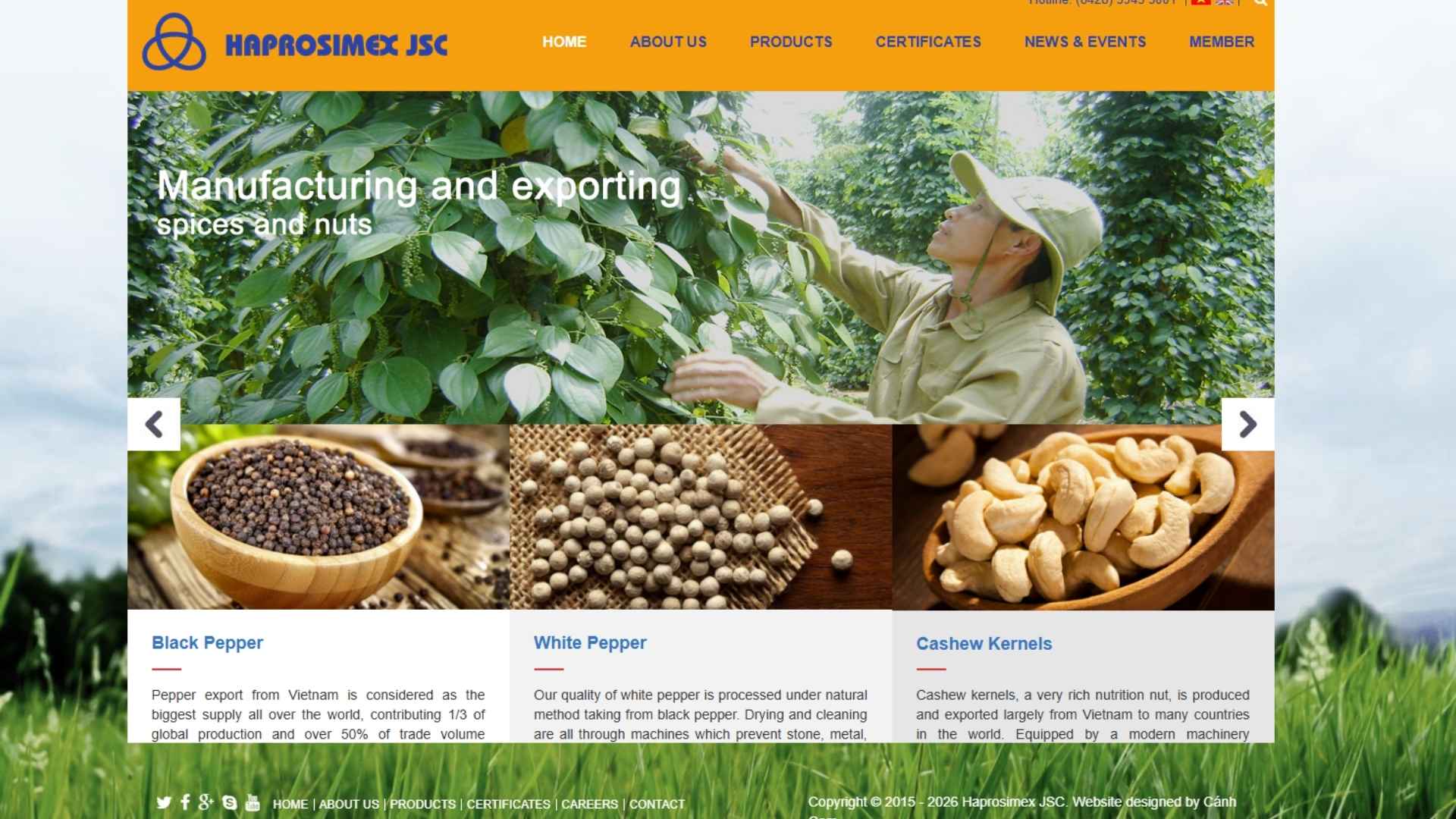 vietnam black pepper exporters