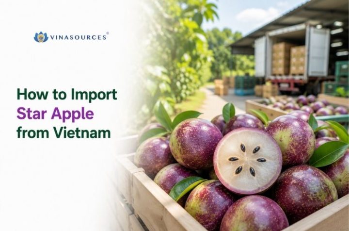 vietnam star apple