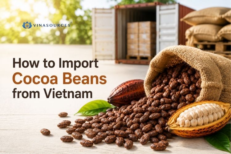 vietnam cocoa beans