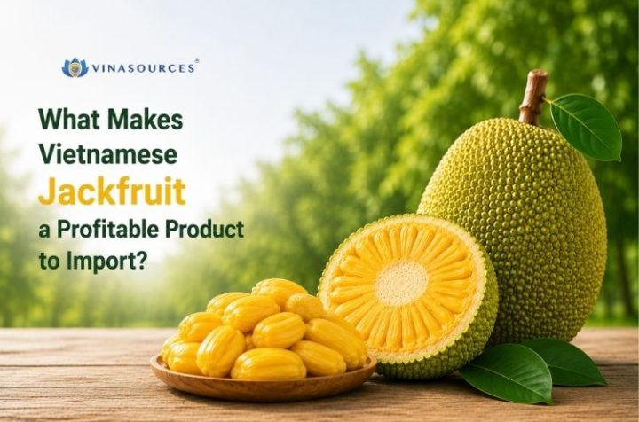 vietnam jackfruit