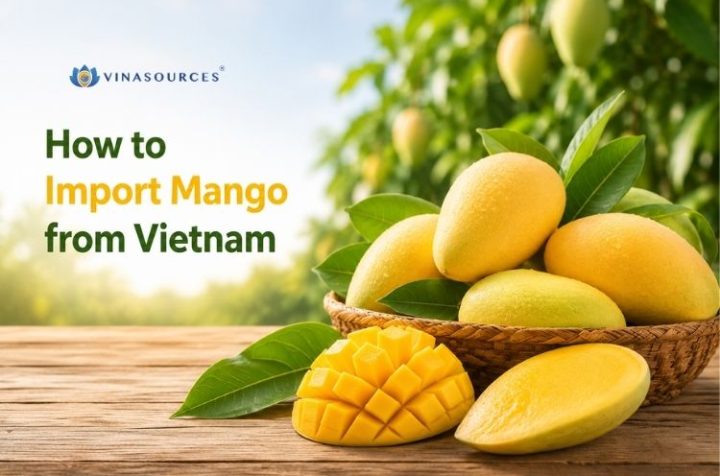 vietnam mango