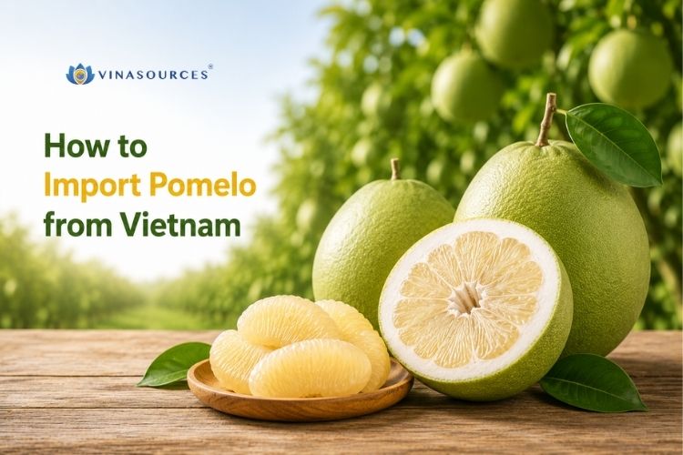 vietnam pomelo