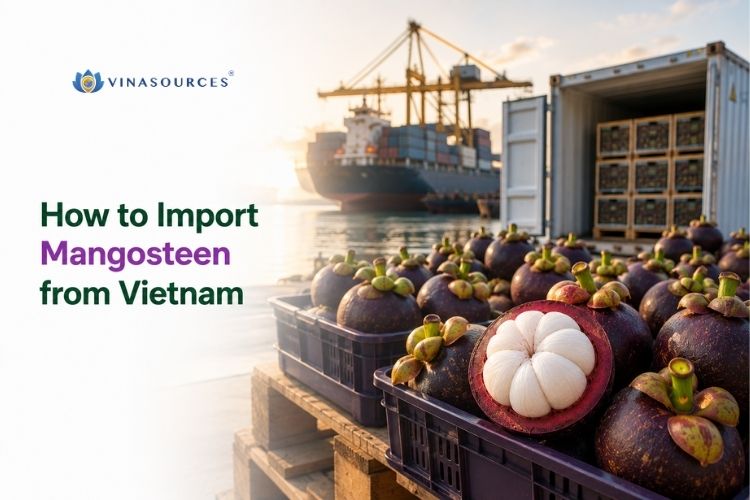 vietnam mangosteen