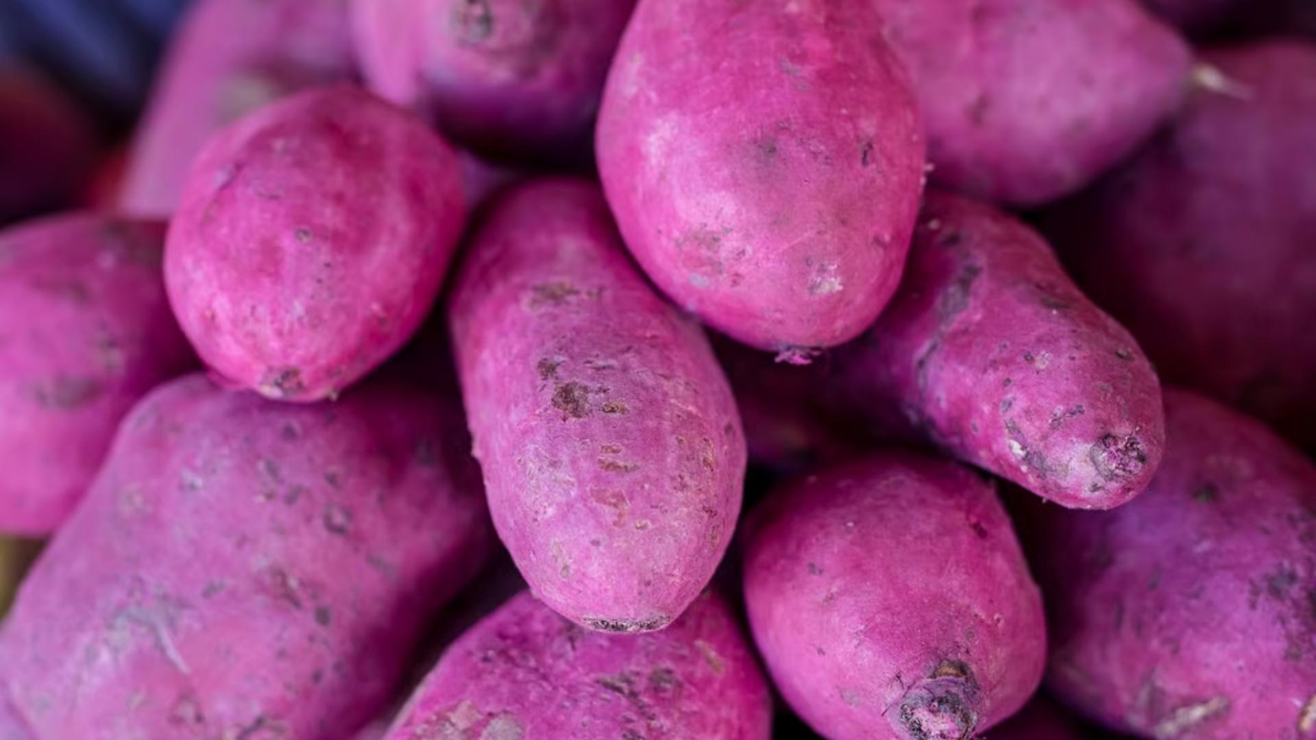 vietnam ube