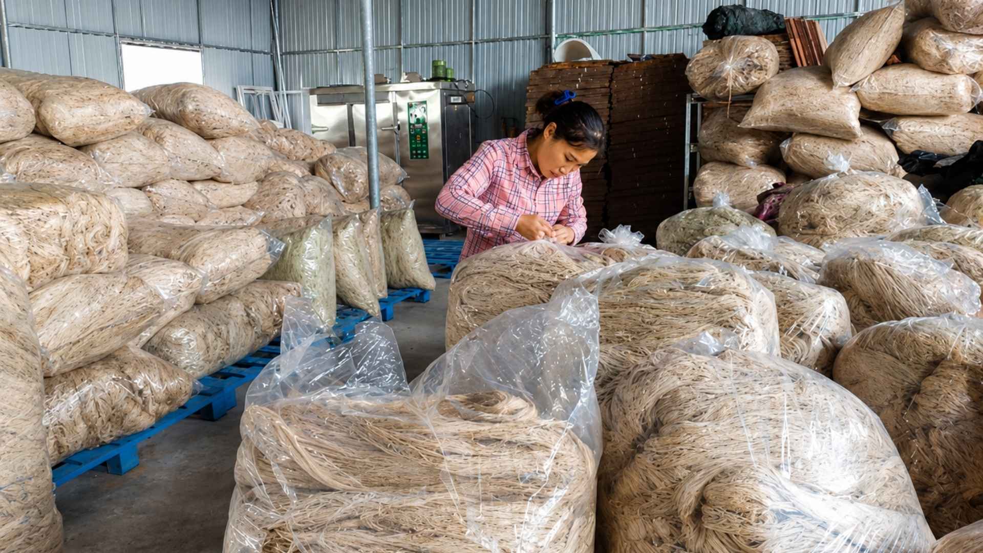 vietnam raw pineapple fiber